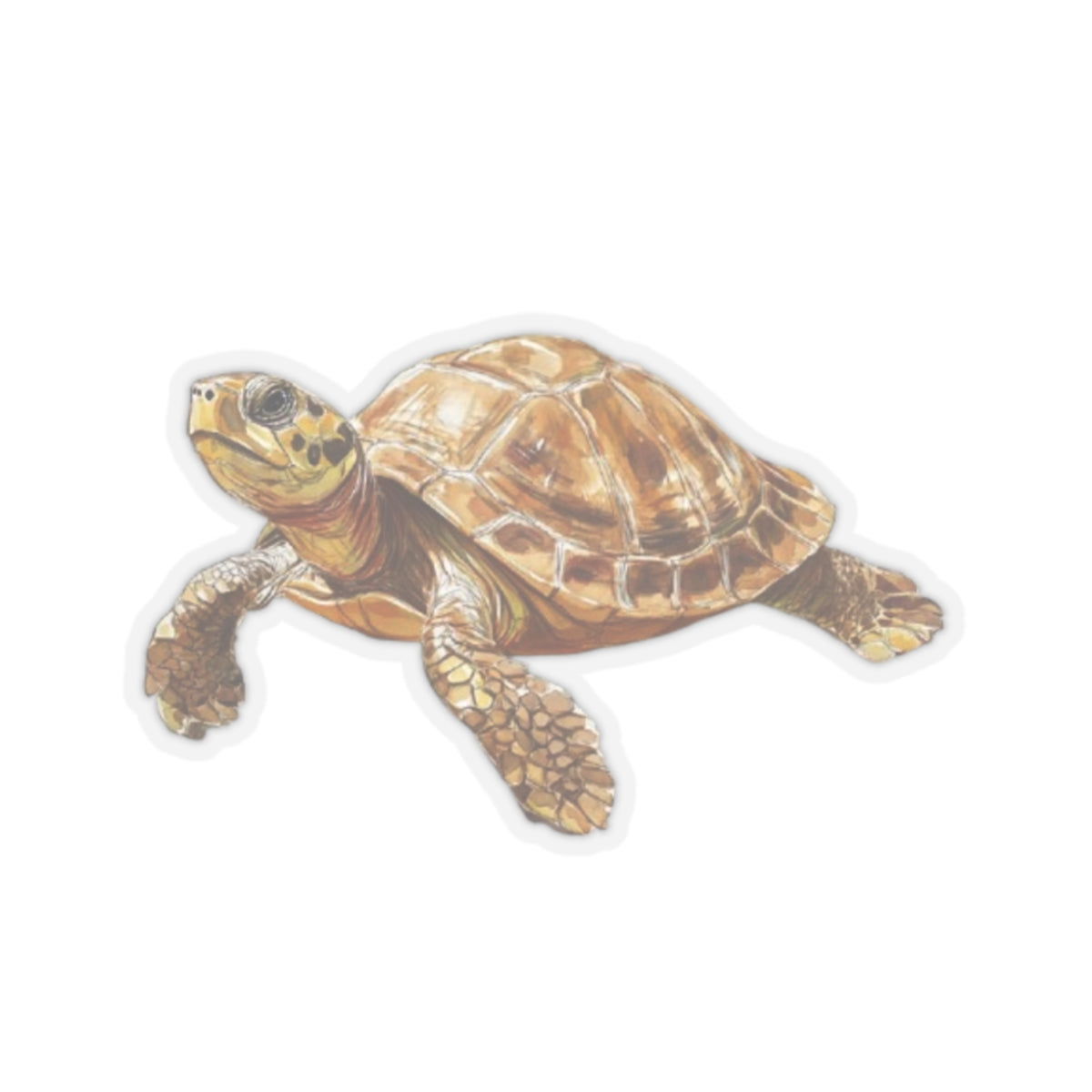 Whimsical Turtle Kiss-Cut Sticker, Turtle sticker, Reptile Sticker, Pet Sticker, Cute Animal Decals, Pet Decal, Vinyl Sticker, Pet Gift, Laptop Sticker, Luggage Sticker, Water Bottle Sticker, Tumbler sticker, Scrapbook Sticker