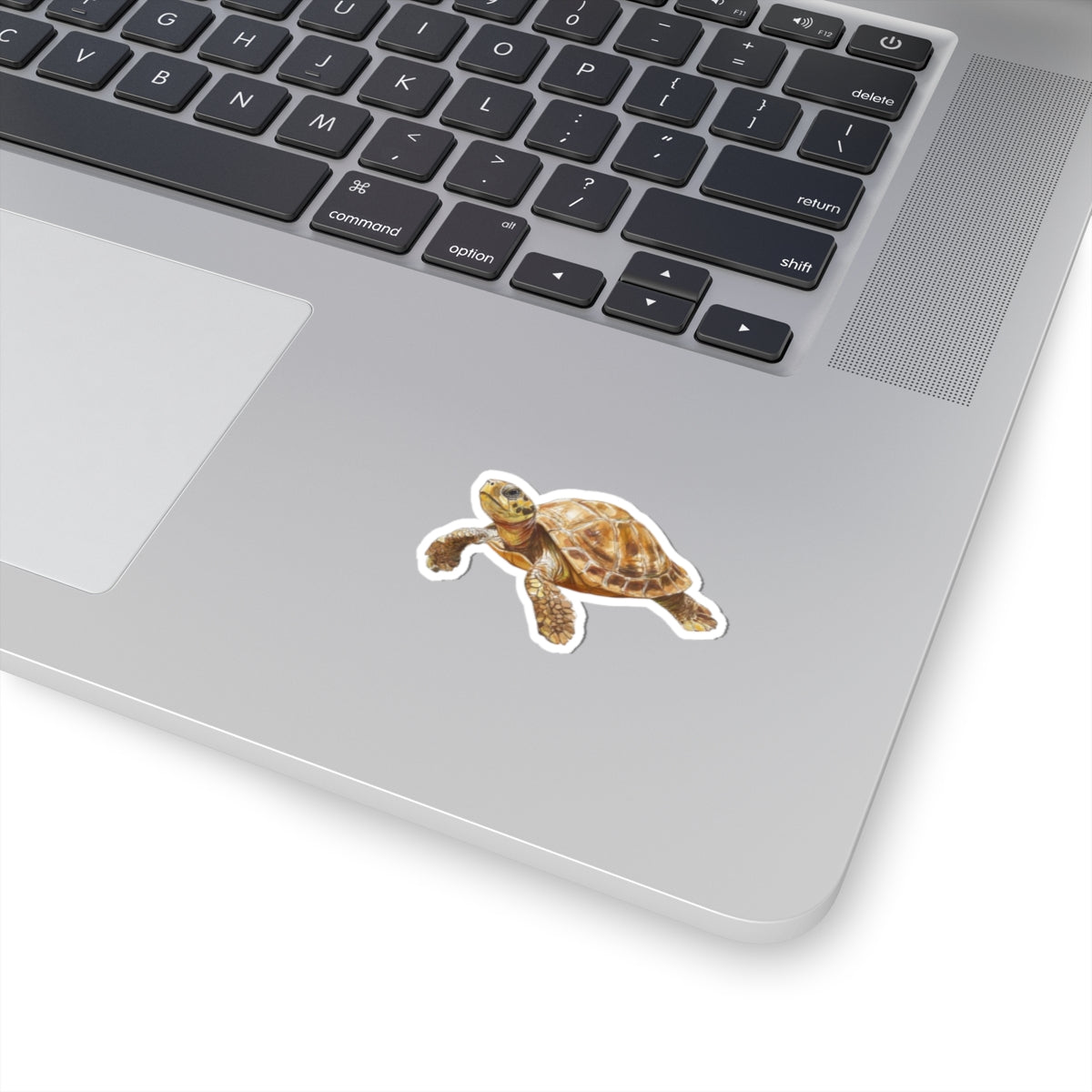 Whimsical Turtle Kiss-Cut Sticker, Turtle sticker, Reptile Sticker, Pet Sticker, Cute Animal Decals, Pet Decal, Vinyl Sticker, Pet Gift, Laptop Sticker, Luggage Sticker, Water Bottle Sticker, Tumbler sticker, Scrapbook Sticker