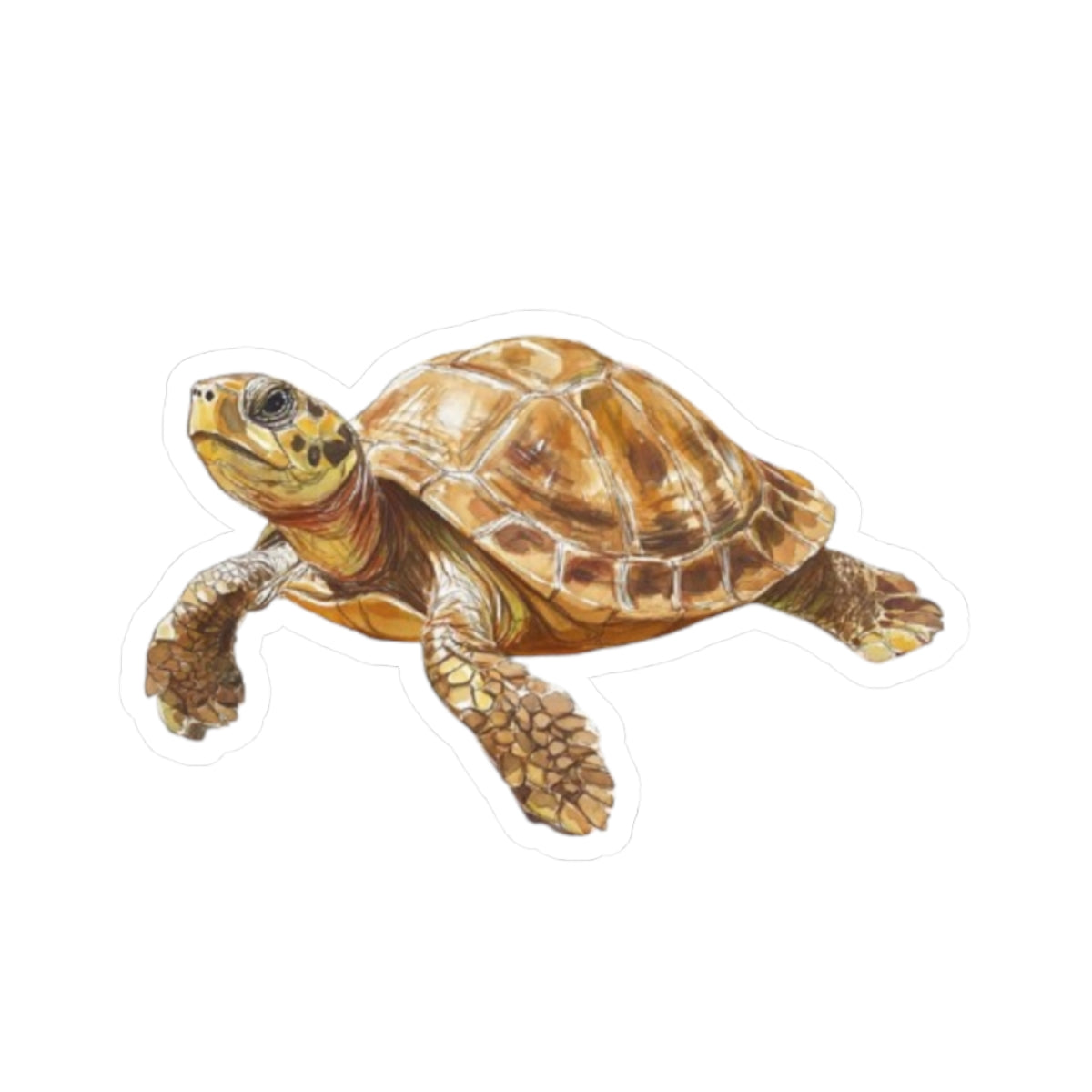 Whimsical Turtle Kiss-Cut Sticker, Turtle sticker, Reptile Sticker, Pet Sticker, Cute Animal Decals, Pet Decal, Vinyl Sticker, Pet Gift, Laptop Sticker, Luggage Sticker, Water Bottle Sticker, Tumbler sticker, Scrapbook Sticker