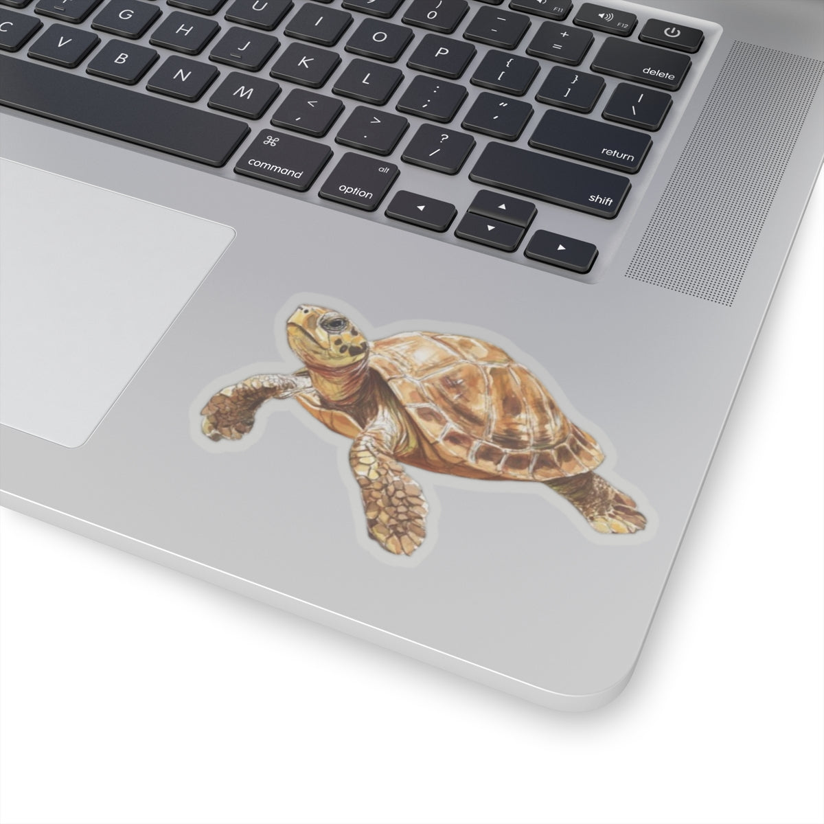 Whimsical Turtle Kiss-Cut Sticker, Turtle sticker, Reptile Sticker, Pet Sticker, Cute Animal Decals, Pet Decal, Vinyl Sticker, Pet Gift, Laptop Sticker, Luggage Sticker, Water Bottle Sticker, Tumbler sticker, Scrapbook Sticker